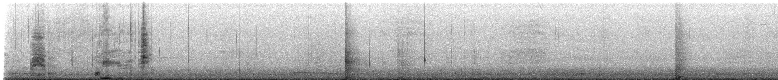 Eastern Screech-Owl - ML651017241