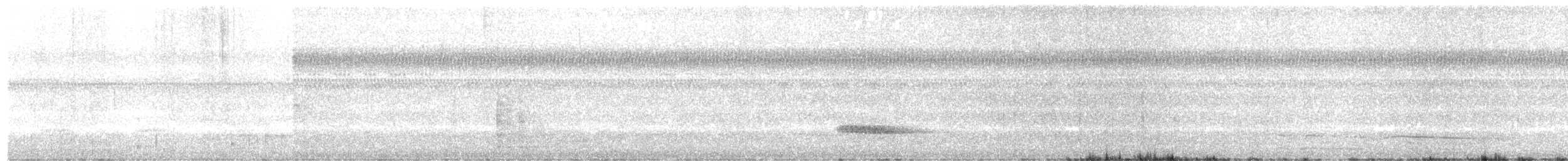 Brown Tinamou - ML651017260