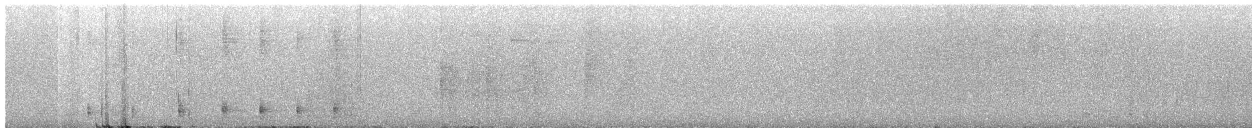 Lesson's Motmot - ML651017502