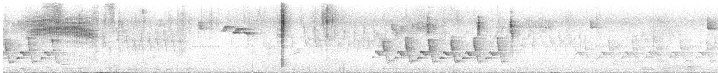 Carolina Wren - ML651017519