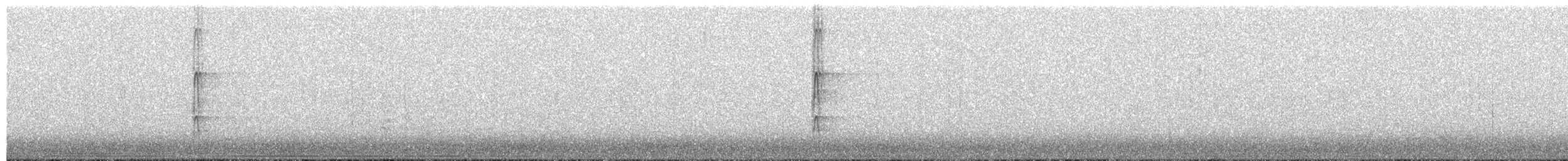 Hairy Woodpecker - ML651019072