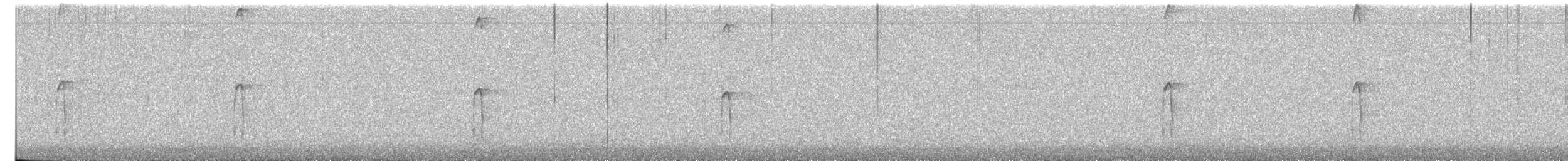 Hairy Woodpecker - ML651020637