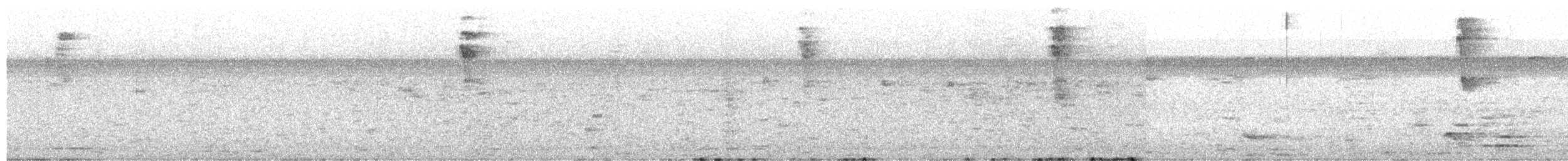 Blue Dacnis - ML651024352