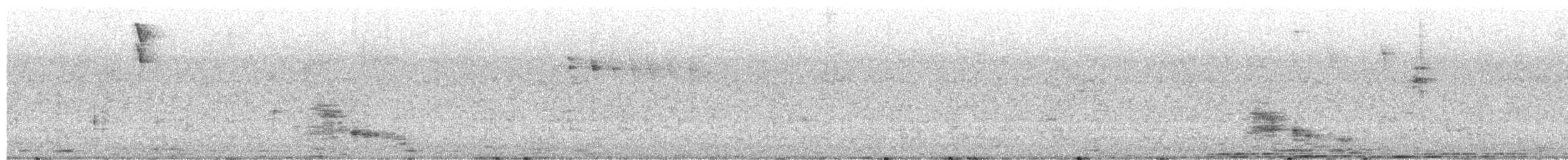 Blue Dacnis - ML651026655