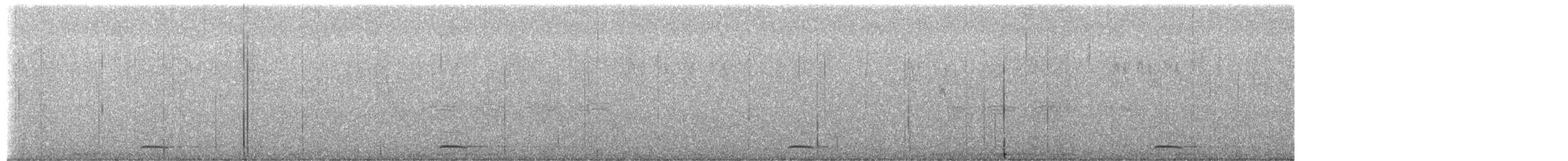 Northern Pygmy-Owl (Pacific) - ML651028289