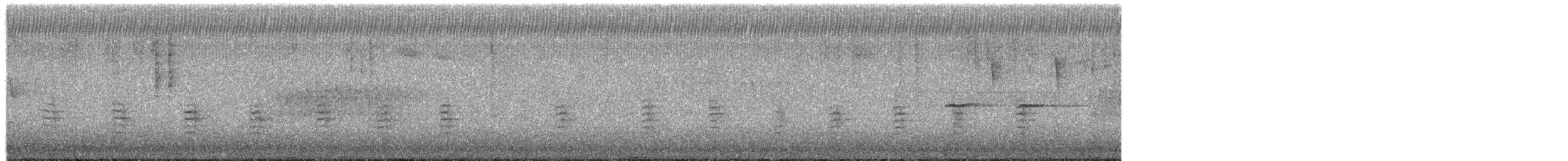 Sittelle à poitrine rousse - ML651028291