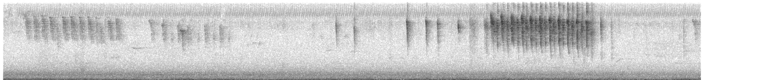 Colibri d'Anna - ML651028499