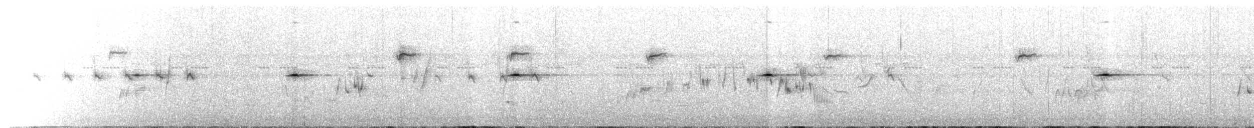 Широкохвіст африканський - ML651029517