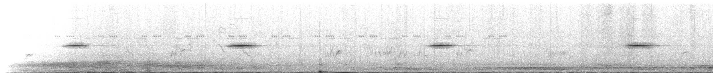 Широкохвіст африканський - ML651029520