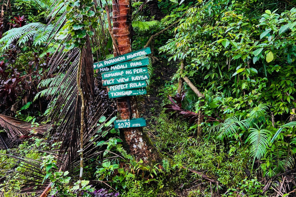 eBird Checklist - 1 Feb 2026 - Samar Island Natural Park--Eco-trail Stn ...
