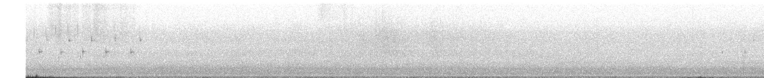 ハシナガオウギセッカ - ML651041697