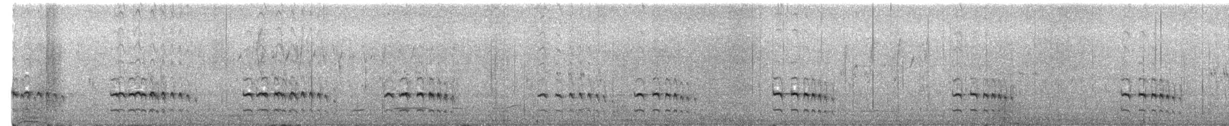 Tschudi's Tapaculo - ML651042709