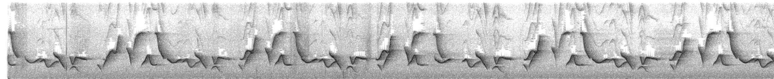Mantaro Wren (undescribed form) - ML651042897