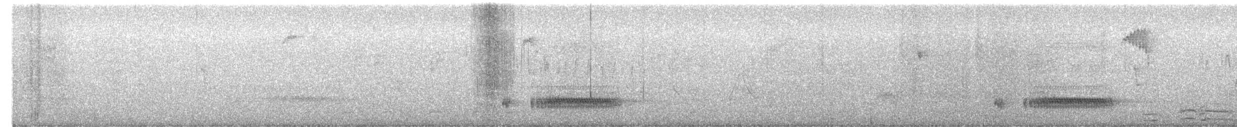 Junin Antpitta - ML651042902