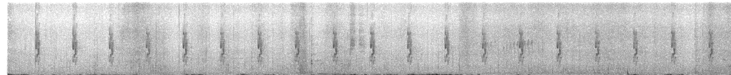 Jalca Tapaculo - ML651042918