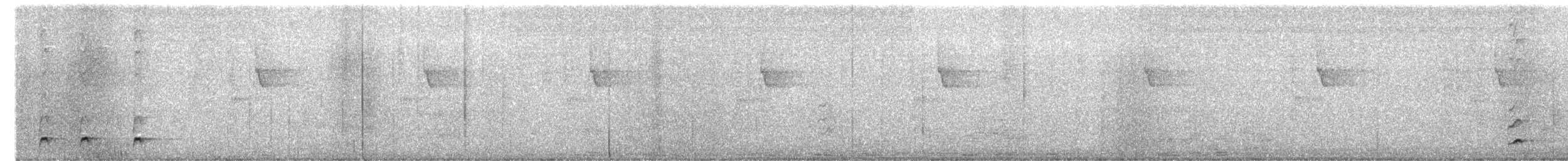 Schwarztapaculo (latrans) - ML651042962