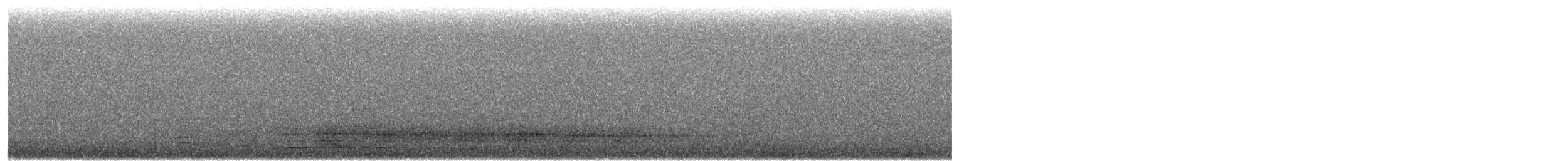 Western Barn Owl - ML651045123