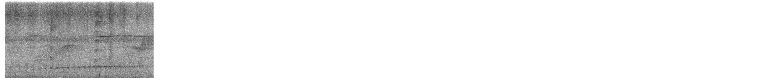 Pectoral Antwren - ML651050368