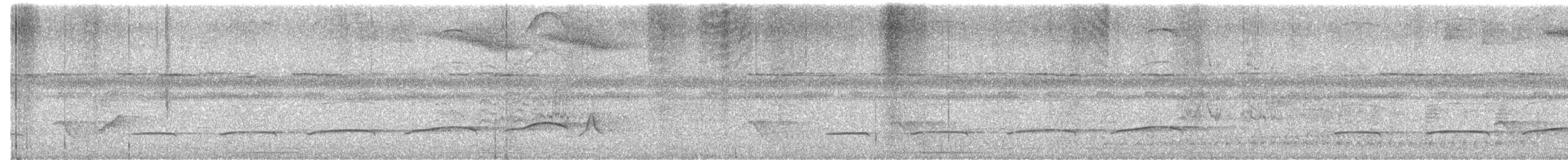 Cinnamon Attila - ML651050405