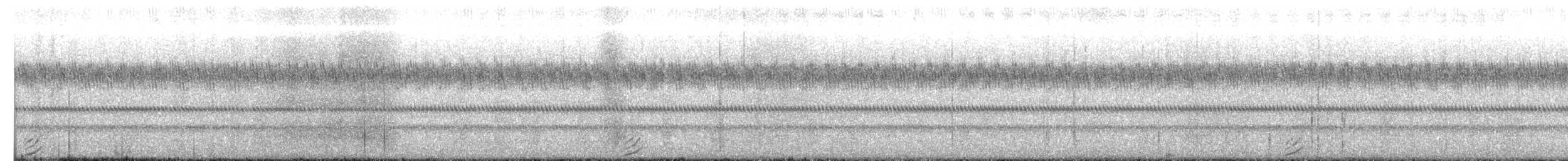 výreček indický - ML651050413