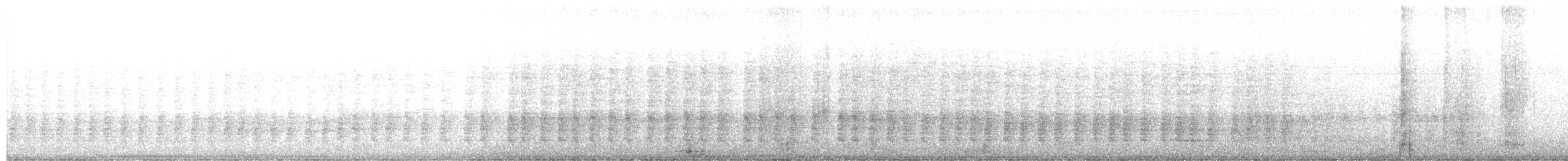 sojka yukatanská - ML651050514