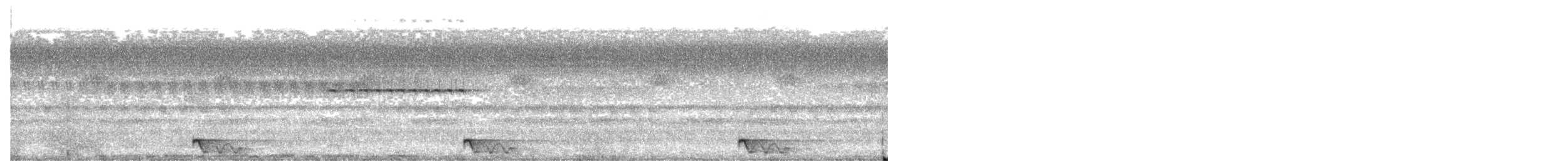 lelek malovaný - ML651050658