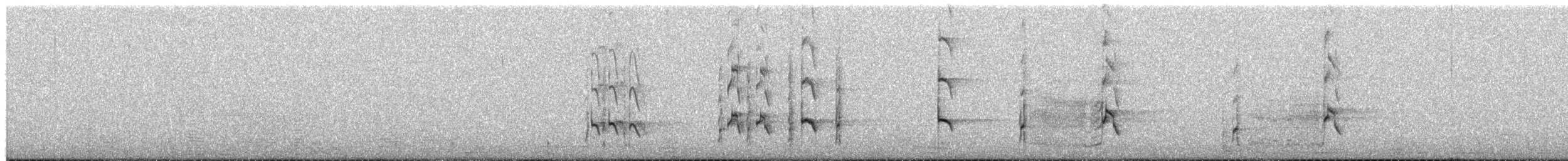 datel chilský - ML651050968