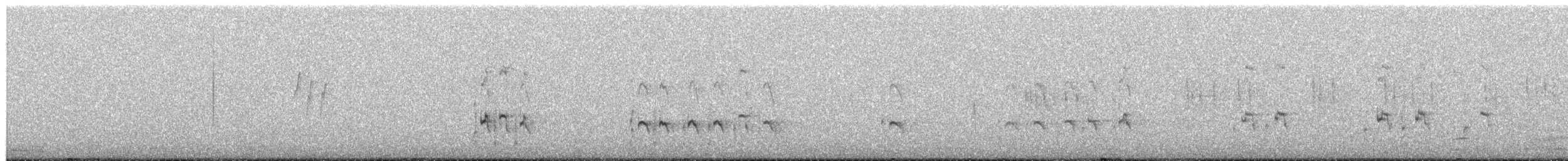 datel chilský - ML651050990