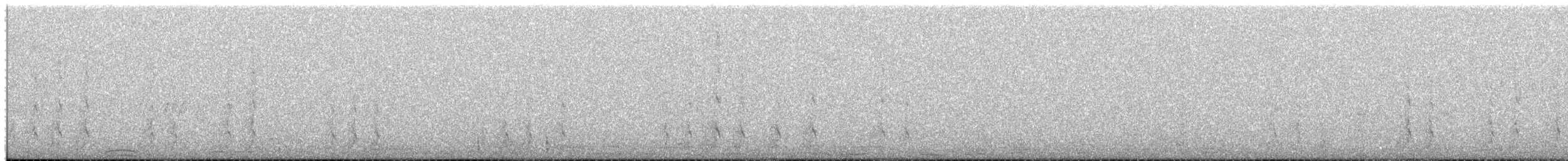 křepel kalifornský - ML651051002