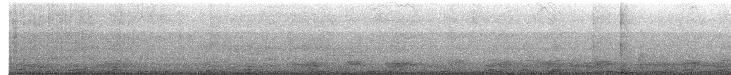 sovka dravčí - ML651051006