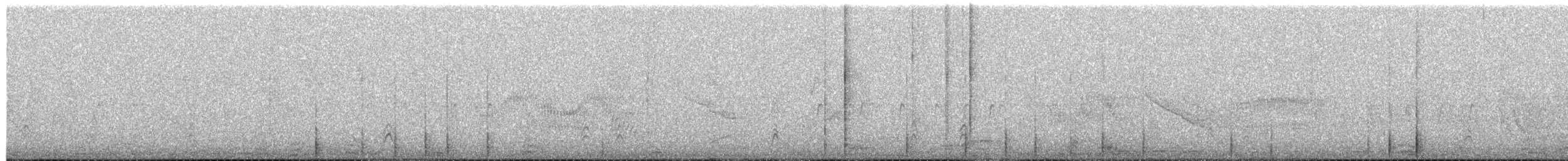 datel páskovaný - ML651051023