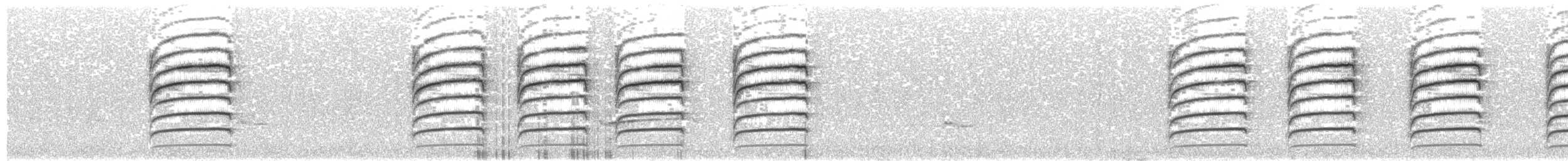 pěnicovec krátkoocasý [skupina brevicaudata] - ML651051038