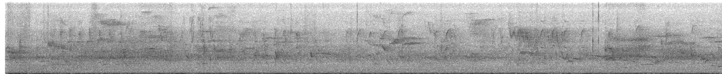 Zozo papargorria - ML651055024