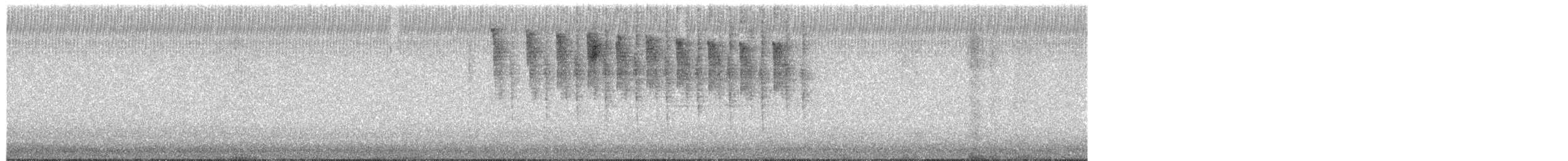 Colibri d'Anna - ML651055735