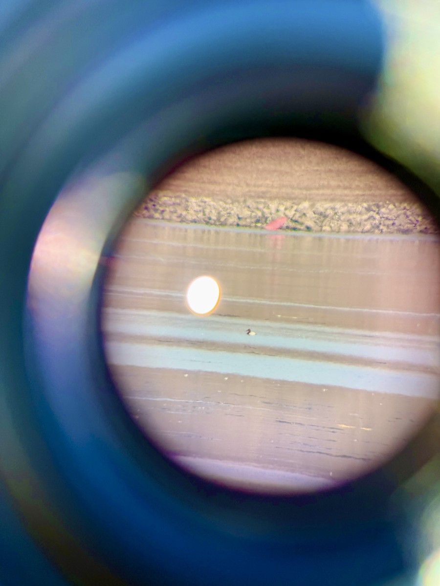 Porrón Coacoxtle - ML651058779