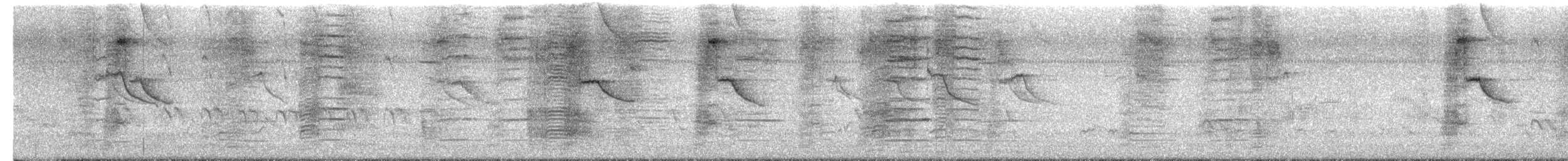 Common Grackle - ML651060055