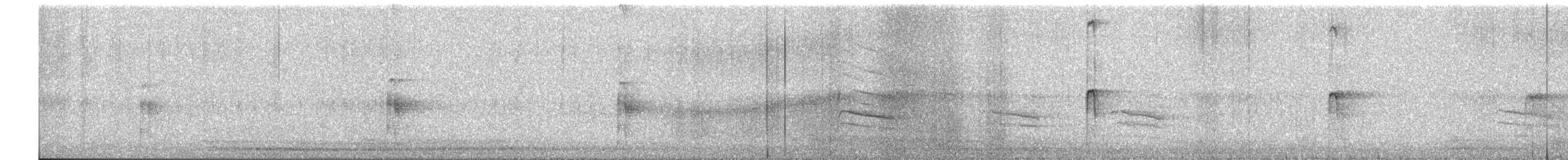 Hairy Woodpecker - ML651060235