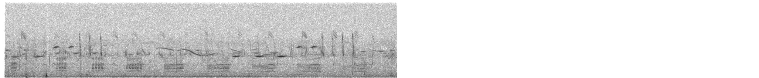 White-quilled Bustard - ML651064529