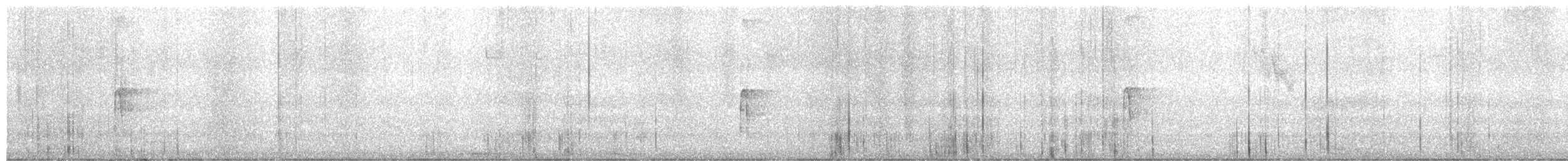 Hairy Woodpecker - ML651075357