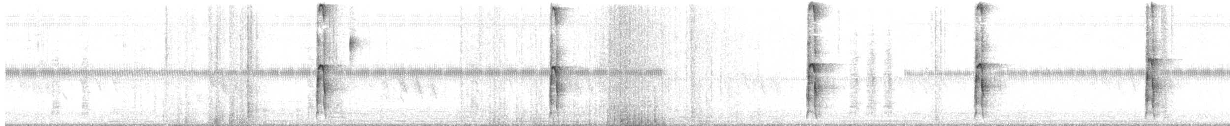 Hairy Woodpecker - ML651079710