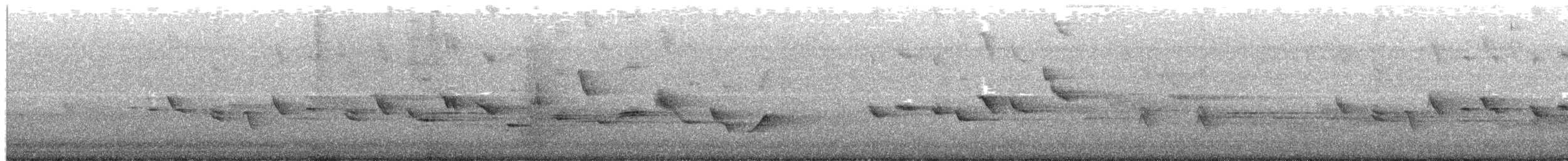 House Finch - ML651081989