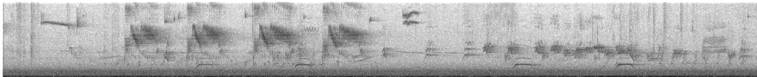 Colin de Californie - ML651083794