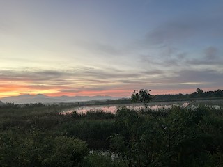 Chacalilla (pueblo), San Blas, Nayarit, Mexico - eBird Hotspot