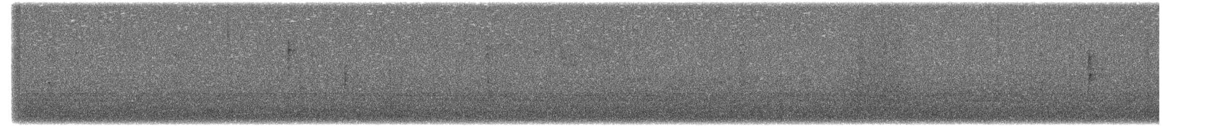 ウィルソンアメリカムシクイ - ML651087494