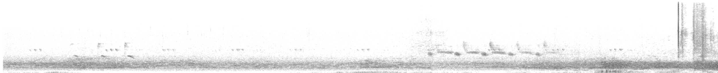 Troglodyte des rochers - ML651093045