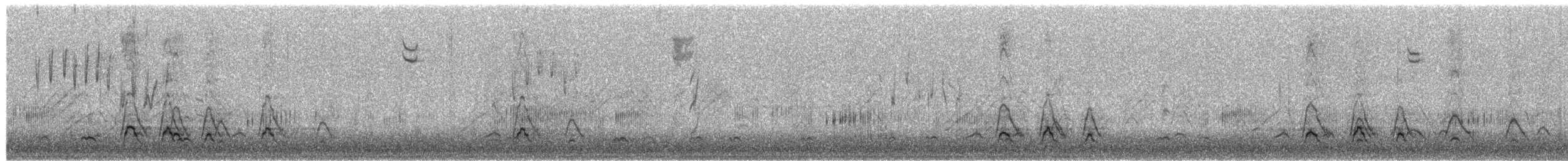 Canard d'Amérique - ML651098571