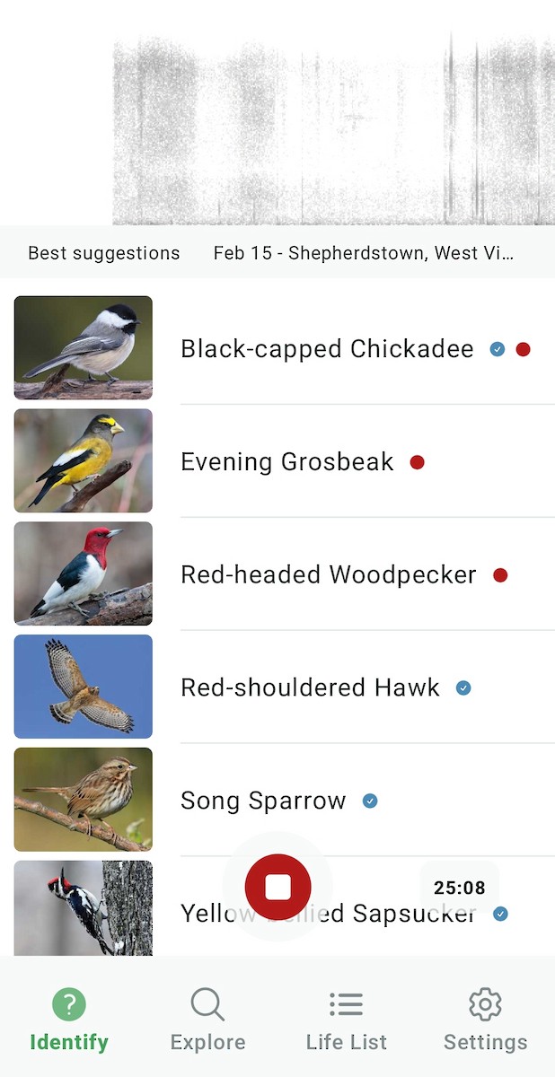 Great Backyard Bird Count Checklist - 15 Feb 2026 - Wren's Nest - 31 ...