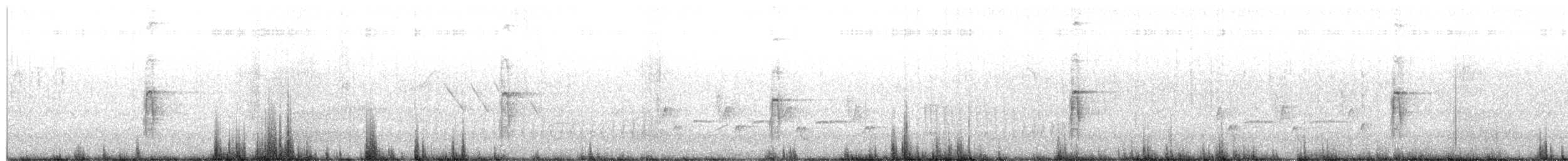 Hairy Woodpecker (Rocky Mts.) - ML651102048