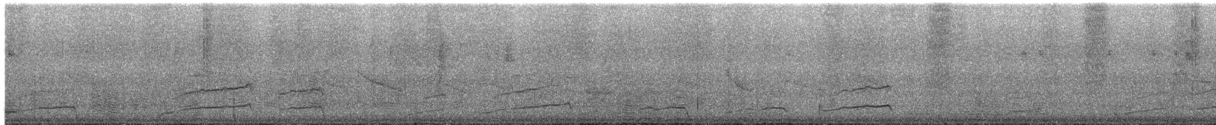 Smooth-billed Ani - ML651106061