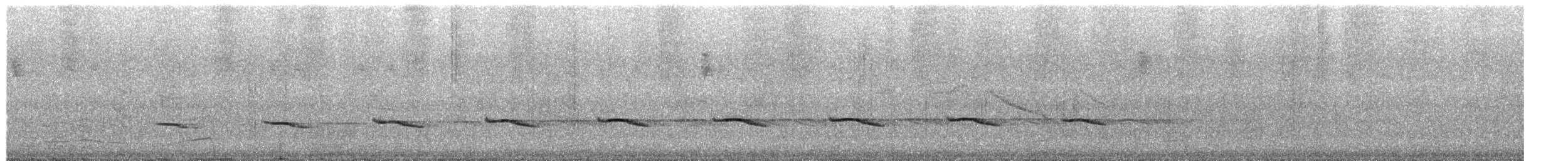 Brushland Tinamou - ML651106085